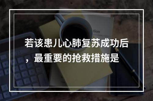 若该患儿心肺复苏成功后，最重要的抢救措施是