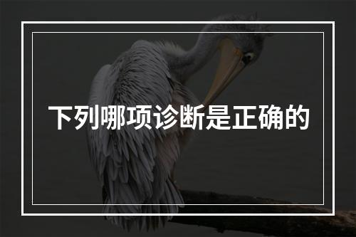 下列哪项诊断是正确的