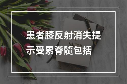 患者膝反射消失提示受累脊髓包括