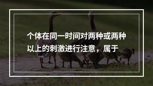 个体在同一时间对两种或两种以上的刺激进行注意，属于