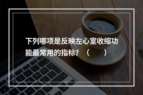 下列哪项是反映左心室收缩功能最常用的指标？（　　）