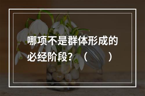 哪项不是群体形成的必经阶段？（　　）