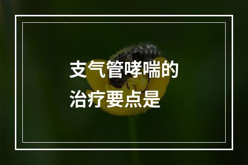 支气管哮喘的治疗要点是