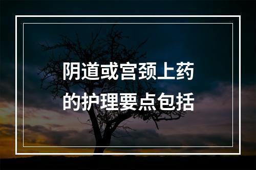 阴道或宫颈上药的护理要点包括