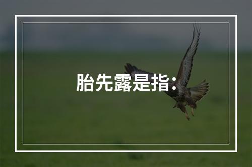 胎先露是指：