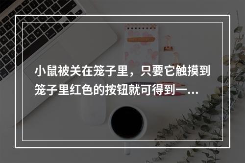 小鼠被关在笼子里，只要它触摸到笼子里红色的按钮就可得到一颗食