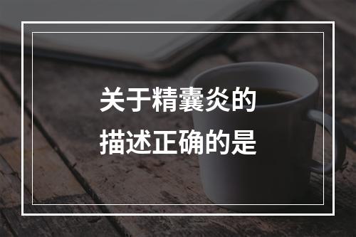 关于精囊炎的描述正确的是