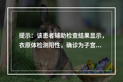 提示：该患者辅助检查结果显示，衣原体检测阳性，确诊为子宫颈炎