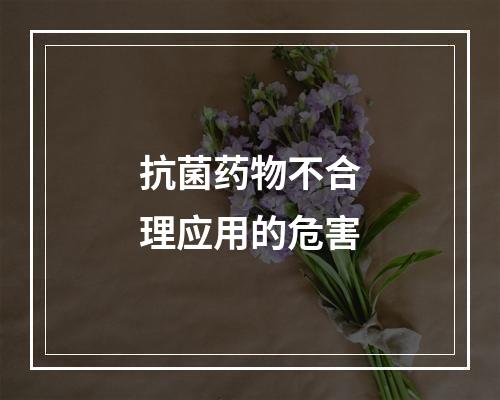 抗菌药物不合理应用的危害