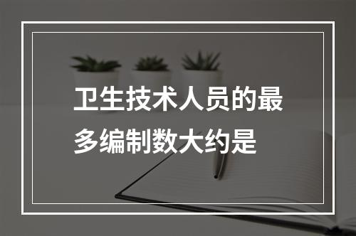 卫生技术人员的最多编制数大约是