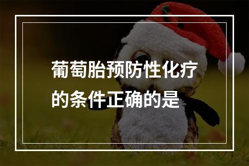 葡萄胎预防性化疗的条件正确的是