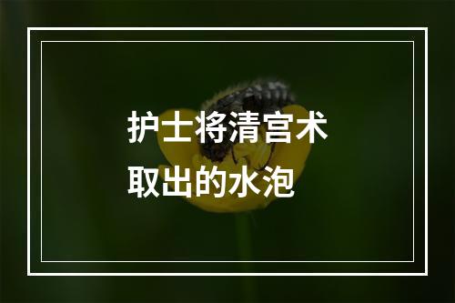 护士将清宫术取出的水泡