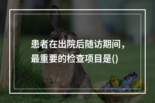 患者在出院后随访期间，最重要的检查项目是()