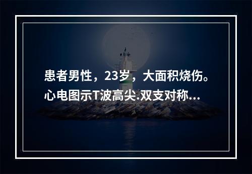 患者男性，23岁，大面积烧伤。心电图示T波高尖.双支对称.