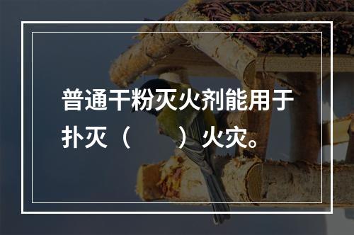 普通干粉灭火剂能用于扑灭（  ）火灾。