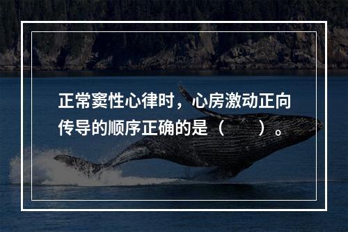 正常窦性心律时，心房激动正向传导的顺序正确的是（　　）。