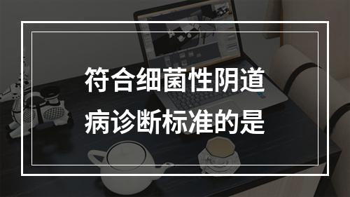 符合细菌性阴道病诊断标准的是