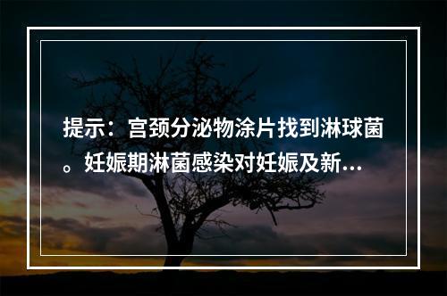 提示：宫颈分泌物涂片找到淋球菌。妊娠期淋菌感染对妊娠及新生儿