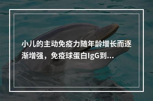 小儿的主动免疫力随年龄增长而逐渐增强，免疫球蛋白IgG到几岁