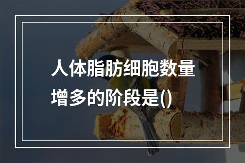 人体脂肪细胞数量增多的阶段是()