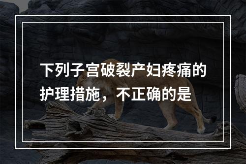 下列子宫破裂产妇疼痛的护理措施，不正确的是