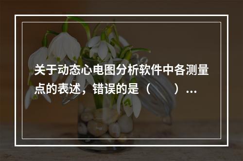 关于动态心电图分析软件中各测量点的表述，错误的是（　　）。