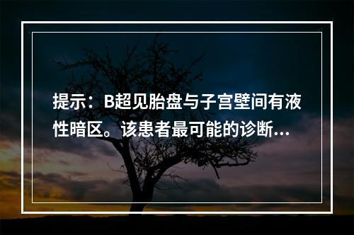 提示：B超见胎盘与子宫壁间有液性暗区。该患者最可能的诊断是