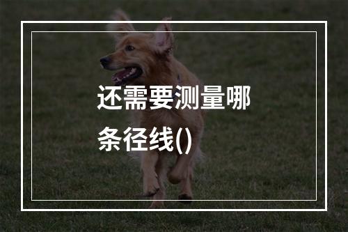 还需要测量哪条径线()