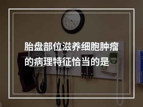 胎盘部位滋养细胞肿瘤的病理特征恰当的是