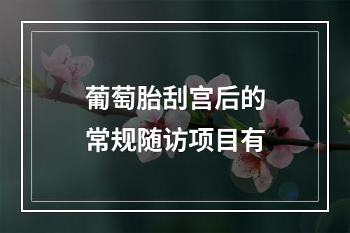 葡萄胎刮宫后的常规随访项目有