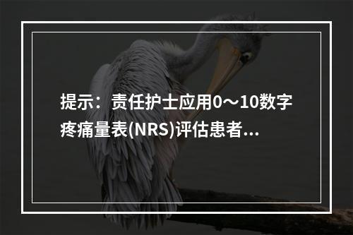 提示：责任护士应用0～10数字疼痛量表(NRS)评估患者，患