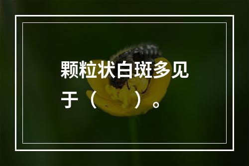 颗粒状白斑多见于（　　）。