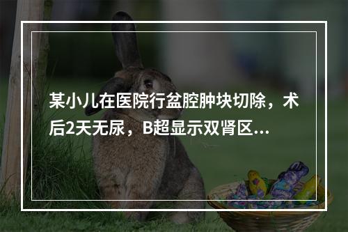 某小儿在医院行盆腔肿块切除，术后2天无尿，B超显示双肾区末探