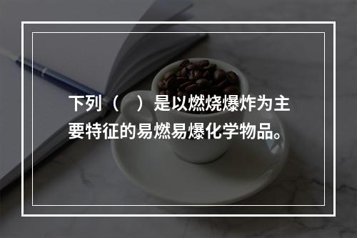 下列（　）是以燃烧爆炸为主要特征的易燃易爆化学物品。