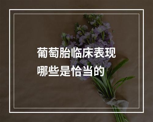 葡萄胎临床表现哪些是恰当的