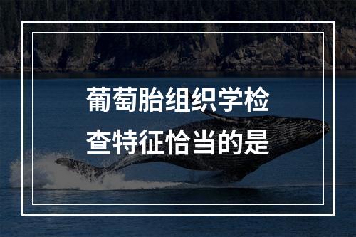 葡萄胎组织学检查特征恰当的是