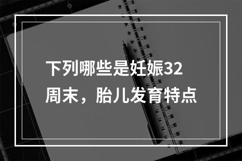 下列哪些是妊娠32周末，胎儿发育特点