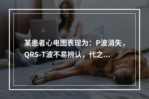 某患者心电图表现为：P波消失，QRS-T波不易辨认，代之以