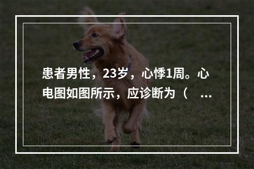 患者男性，23岁，心悸1周。心电图如图所示，应诊断为（　　