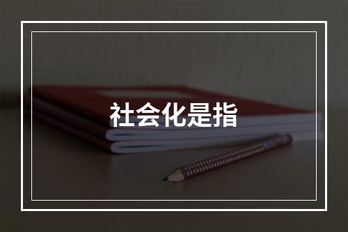 社会化是指