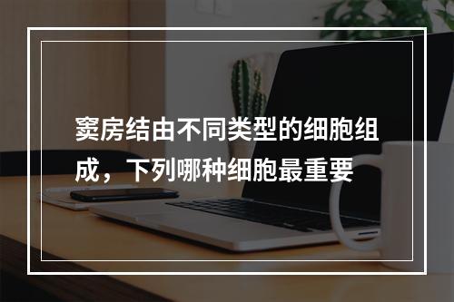 窦房结由不同类型的细胞组成，下列哪种细胞最重要