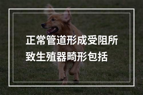 正常管道形成受阻所致生殖器畸形包括