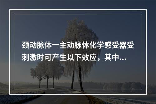 颈动脉体一主动脉体化学感受器受刺激时可产生以下效应，其中表述