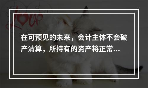 在可预见的未来，会计主体不会破产清算，所持有的资产将正常营运