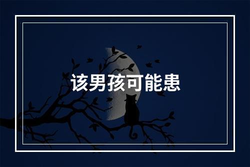 该男孩可能患