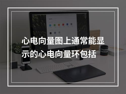 心电向量图上通常能显示的心电向量环包括