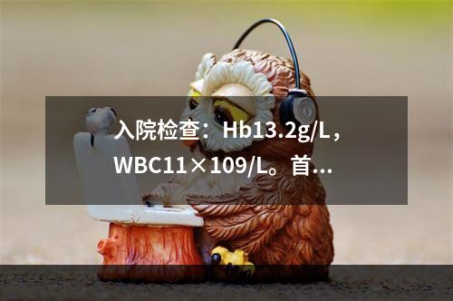 入院检查：Hb13.2g/L，WBC11×109/L。首选下