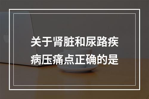 关于肾脏和尿路疾病压痛点正确的是