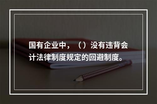 国有企业中，（ ）没有违背会计法律制度规定的回避制度。