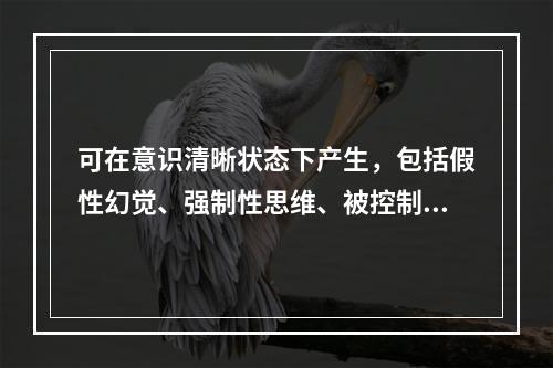 可在意识清晰状态下产生，包括假性幻觉、强制性思维、被控制感